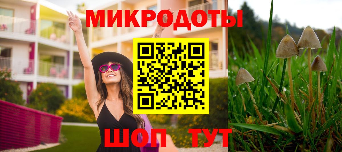 Псилоцибиновые грибы Cubensis Буйнакск